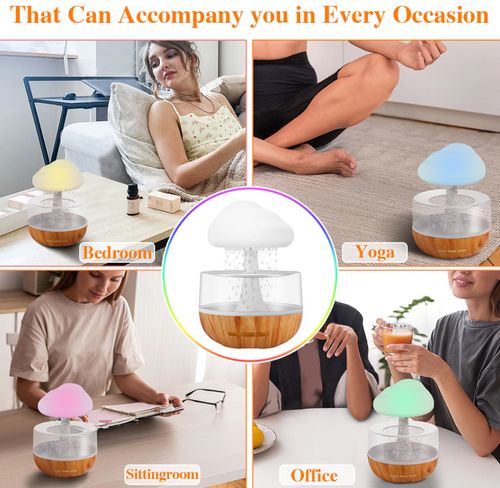 Rain Cloud Humidifier™