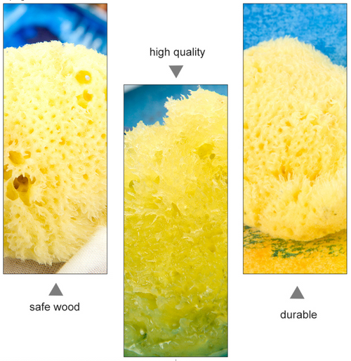 Natural Sea Sponge™