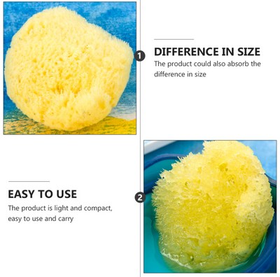 Natural Sea Sponge™