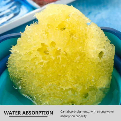 Natural Sea Sponge™