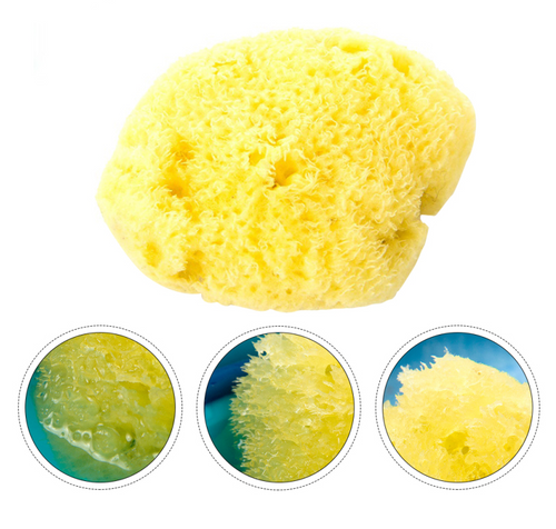 Natural Sea Sponge™